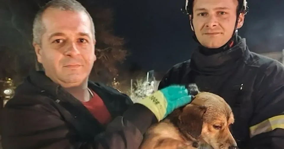 ХРАБРА АКЦИЈА НА КАВАДАРЕЧКИТЕ ПОЖАРНИКАРИ: Спасија куче од од водите на реката Луда Мара