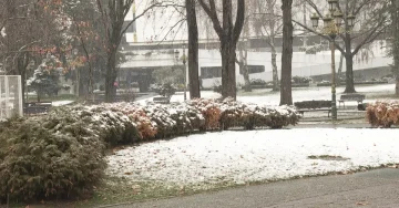 Времето денеска претпладне ќе биде променливо облачно со повремени врнежи од дожд и снег во пониските и снег на повисоките места