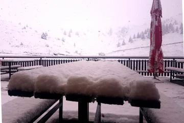 состојбата е стабилна