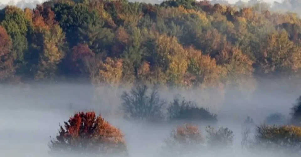 ВРЕМЕНСКА ПРОГНОЗА: Магла во котлините, снег на повисоките места