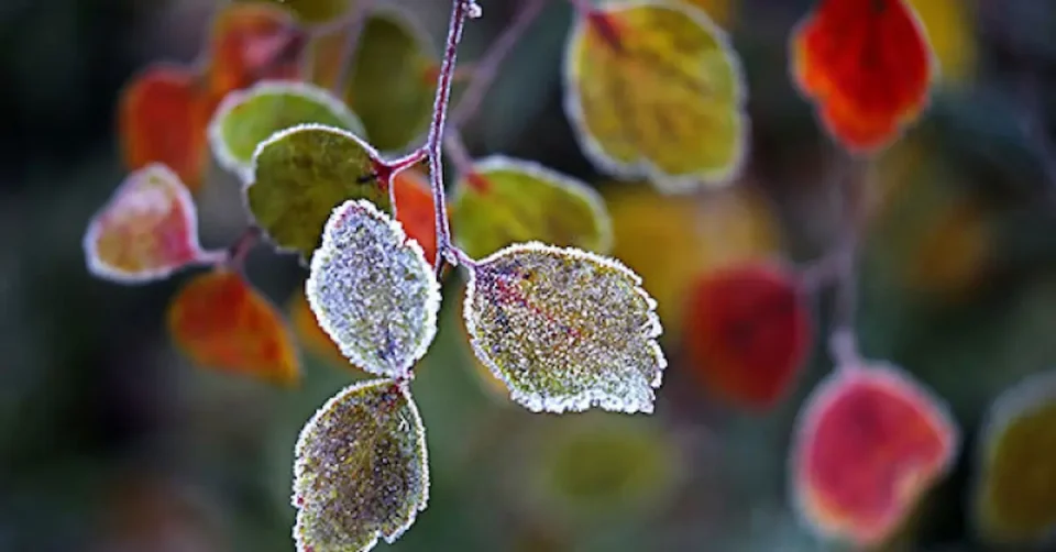 До петок стабилно, суво и потопло, за викендот дожд и снег