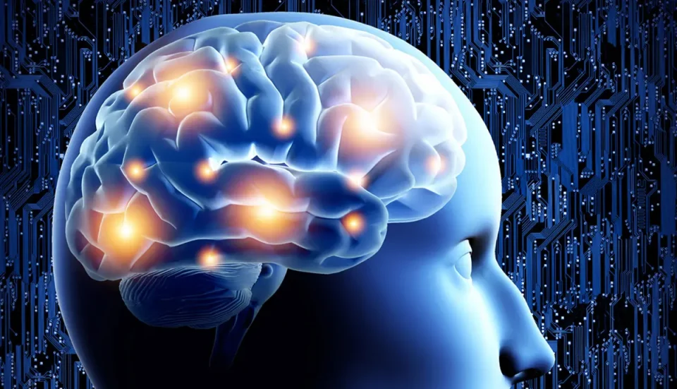 Невронауката открива: Мозочната свест може да трае и по престанокот на срцето