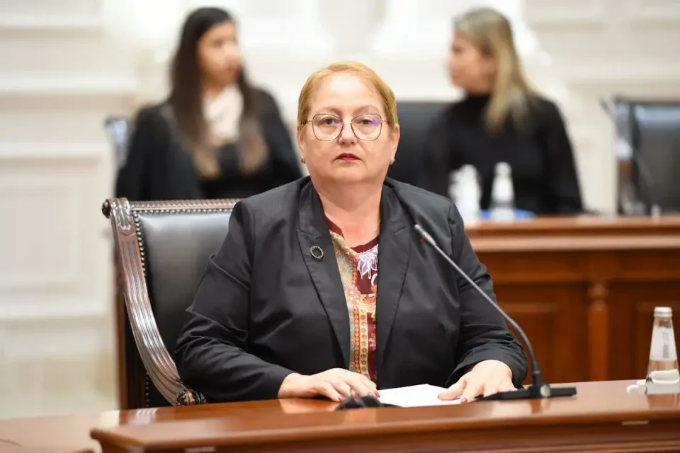 Јаневска од Штип: Неопходно е унапредување на квалитетот во високото образование