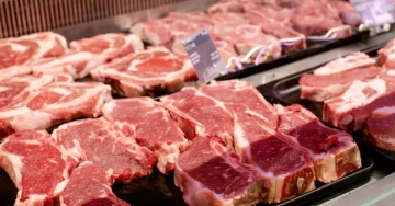 Наводно, контаминирано говедско месо од Бразил пристигнало во европските продавници. Имено, траги од естрадиол биле откриени во неколку