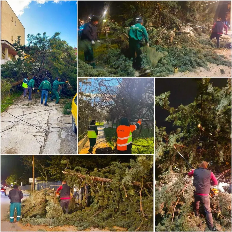 (ФОТО) Ѓорѓиевски: Се расчистуваат последиците од силниот ветер, екипите се на терен