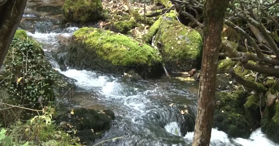 ИСТРАГА ЗА ЗАГАДУВАЊЕТО НА ВОДАТА ЗА ПИЕЊЕ: Машини затекнати при кршење и транспорт на карпи кај изворите во Шум