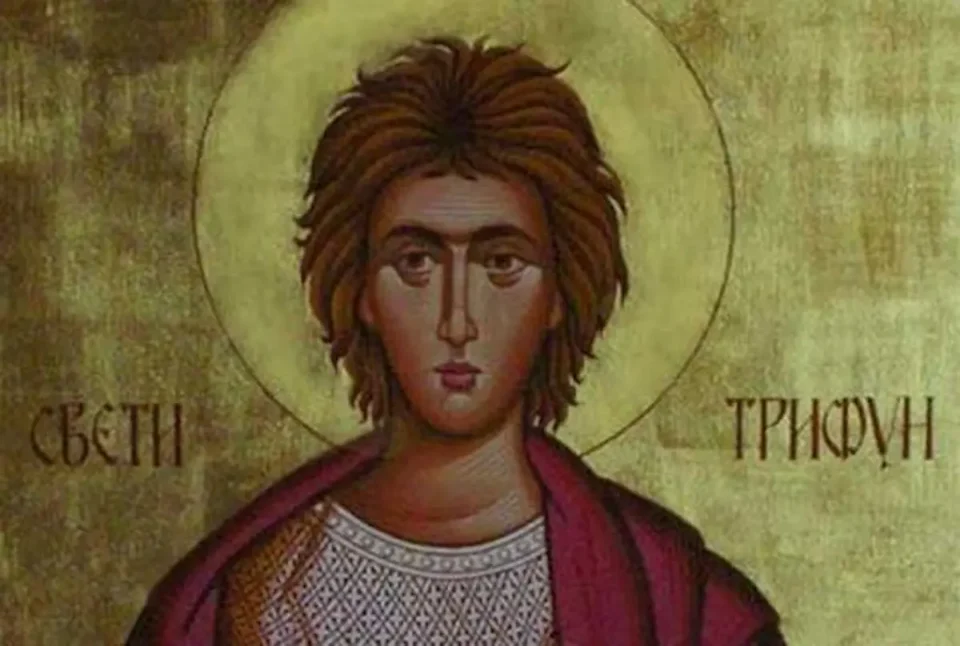 Денес го празнуваме Свети Трифун, заштитникот на лозарите, градинарите и винарите