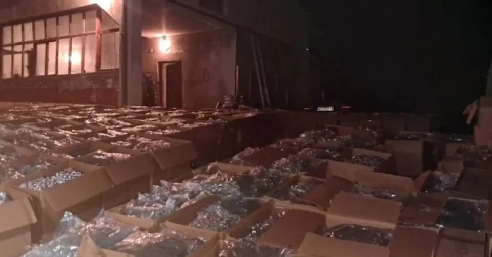 Запленети се рекордни 27 тони марихуана во Скопје и струмичко