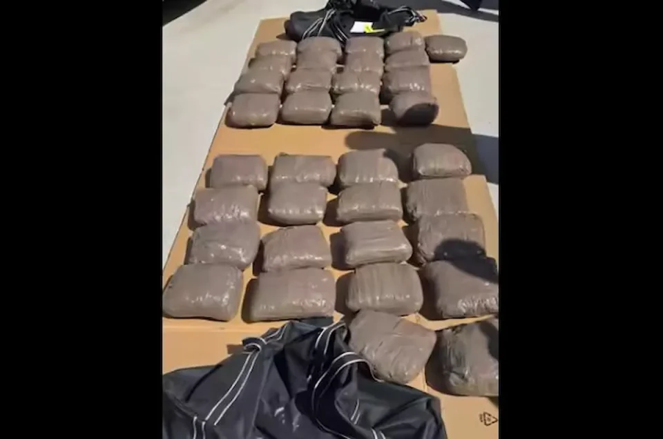 Пронајдена марихуана во визба од зграда: Битолчанец уапсен поради складирање и препродавање