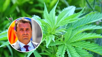 Фирмата од која се запленети 30 тони марихуана работела со низа пропусти