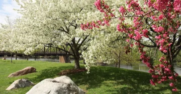 замор и пад на енергијата