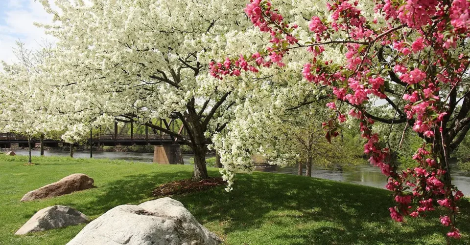 ПРОЛЕТЕН УМОР: Зошто телото се чувствува исцрпено кога времето се подобрува