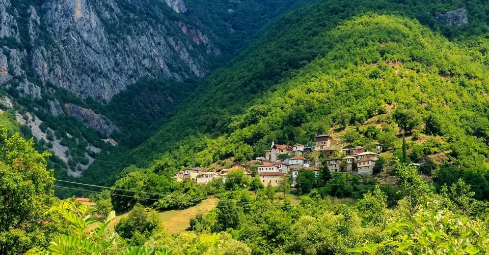 НОВ ЗАКОН ЗА ЗАШТИТА НА ПРИРОДАТА: Јавна расправа започнува следниот месец