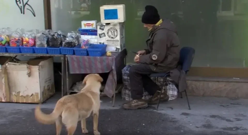 Почина чичко Драги, човекот кој се грижеше за уличните кучиња од Рекорд