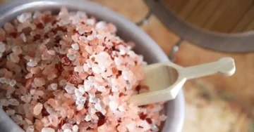 тегла со крупна сол