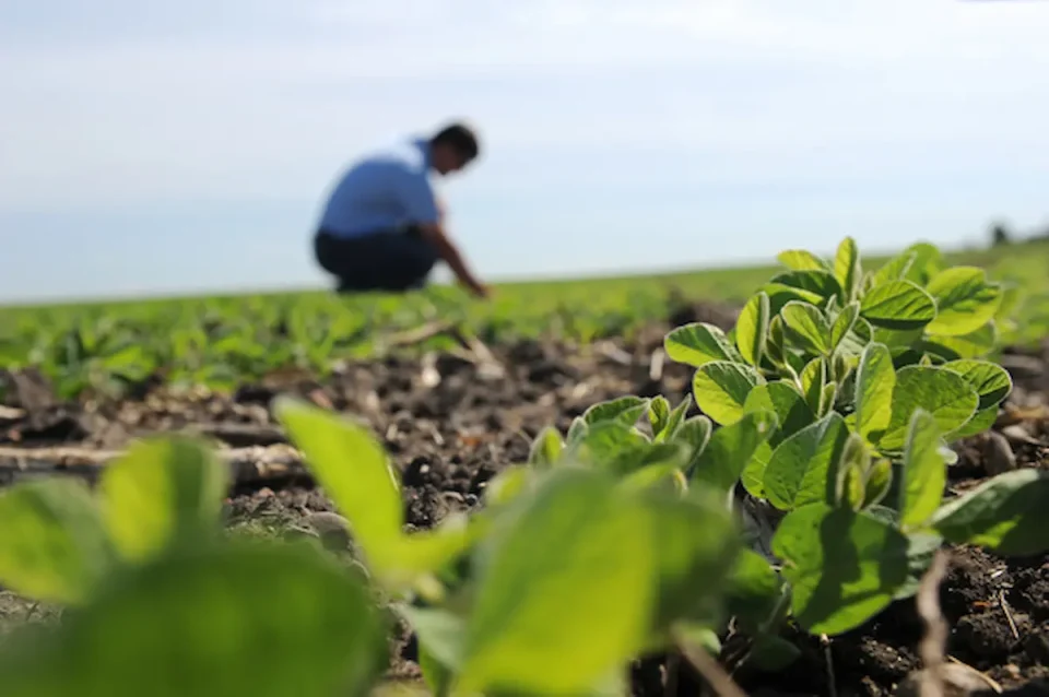 ИСПЛАТИ ЗА МАКЕДОНСКИТЕ ЗЕМЈОДЕЛЦИ: Над 237 милиони денари префрлени денеска