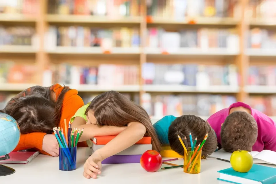 Истражување на ИСППИ: Сè повеќе ученици читаат без разбирање – повеќе работа со книги и помалку телефони