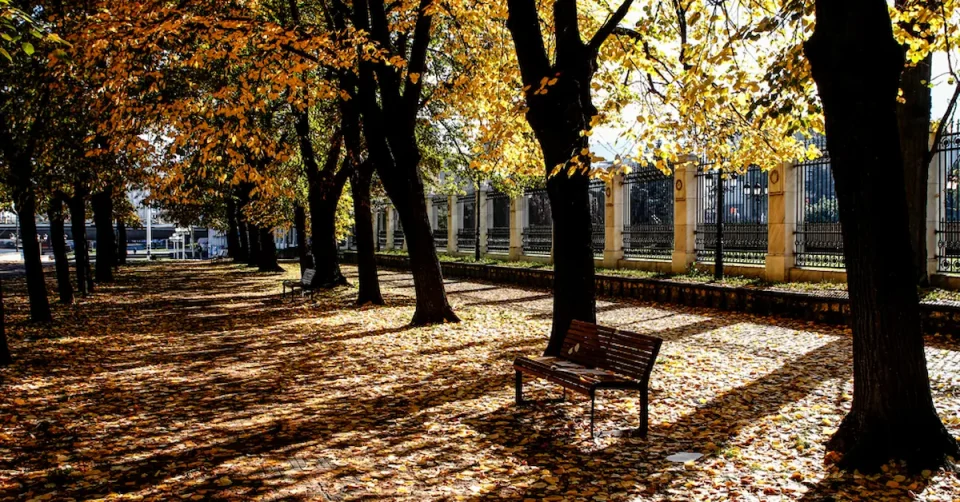 ПРОМЕНЛИВО ОБЛАЧНО И ПОТОПЛО: УХМР најавува температури до 18 степени и повремен дожд до средината на следната седмица