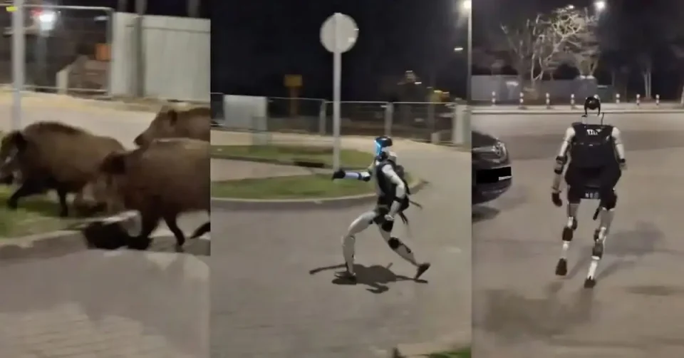 (ВИДЕО) РОБОТ БРКА ДИВИ СВИЊИ ВО ВАРШАВА: Неочекувана сцена што го освои интернетот