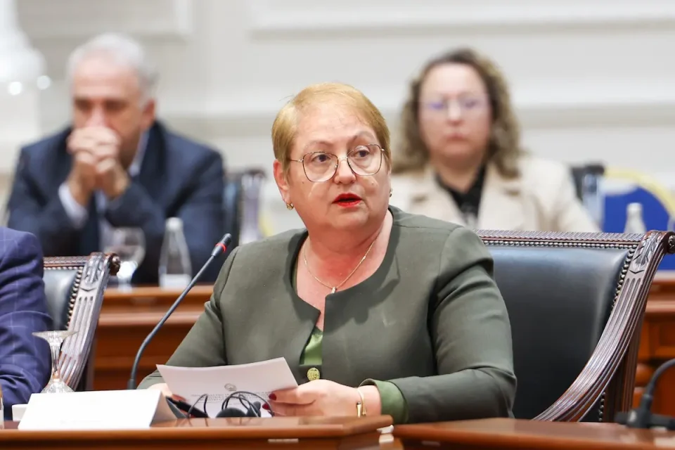 Јаневска: Имаме консензус со академската заедница за новите закони