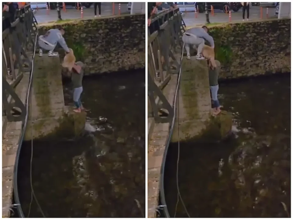 (ВИДЕО) ХРАБРИ БИТОЛЧАНИ: Спасија куче од надојдените води на реката Драгор