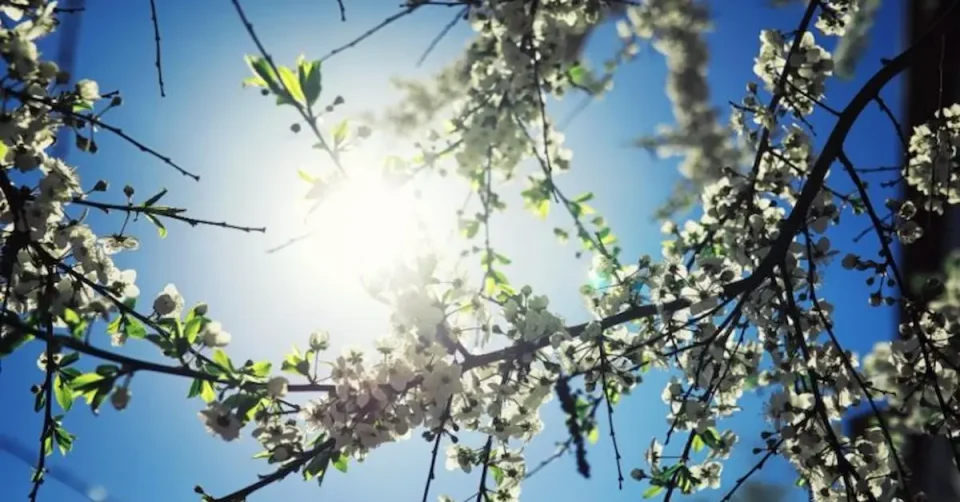 Времето денес: Претежно сончево со мала облачност