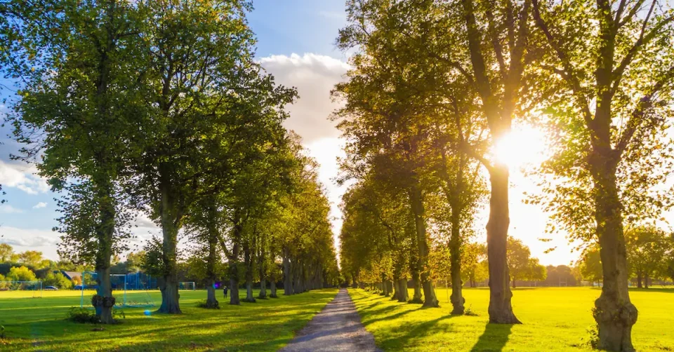 СОНЧЕВО И РЕЛАТИВНО ТОПЛО ВРЕМЕ: Температури до 24 степени и слаб северен ветер