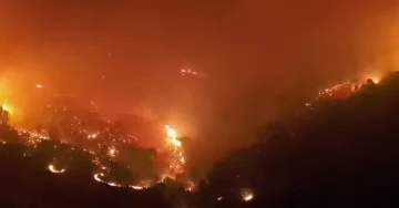 ПОЖАРИТЕ НЕ СТИВНУВААТ ВО ГРЦИЈА: Силниот ветер отвора нови жаришта, најкритично на Крит