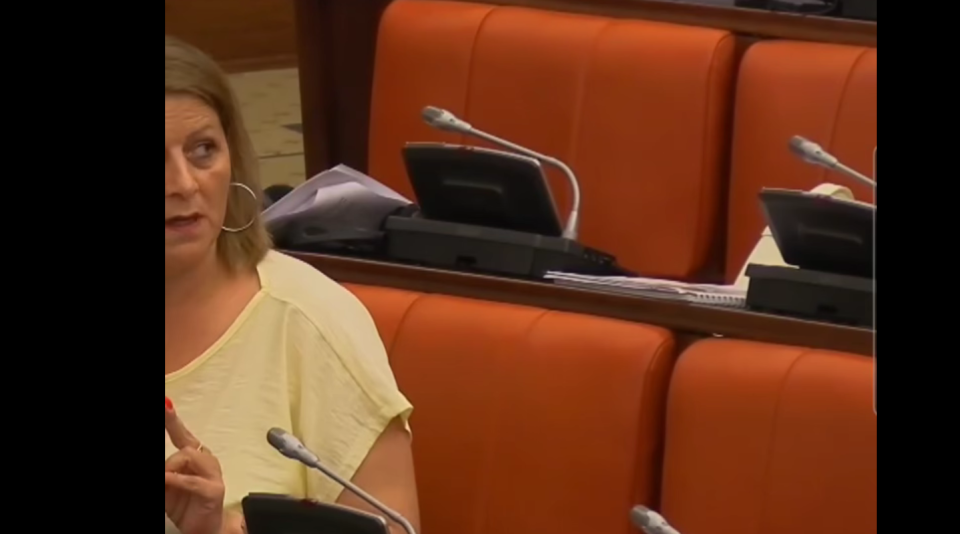(ВИДЕО)„СКОКАШЕ КАКО КОКОШКА ТУКА“: Петкоска со навреди кон Тренчевска во Собранието, ДУИ го блокираше дневниот ред
