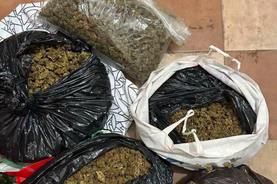 (ФОТО) Претрес во Скопје: Запленети пет килограми марихуана, татко и син уапсени