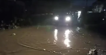 НЕВРЕМЕ НАПРАВИ ХАОС: Паднати дрвја, пожари и оштетени објекти во повеќе градови