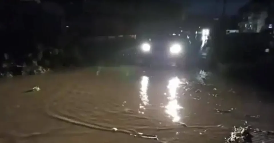 НЕВРЕМЕ НАПРАВИ ХАОС: Паднати дрвја, пожари и оштетени објекти во повеќе градови
