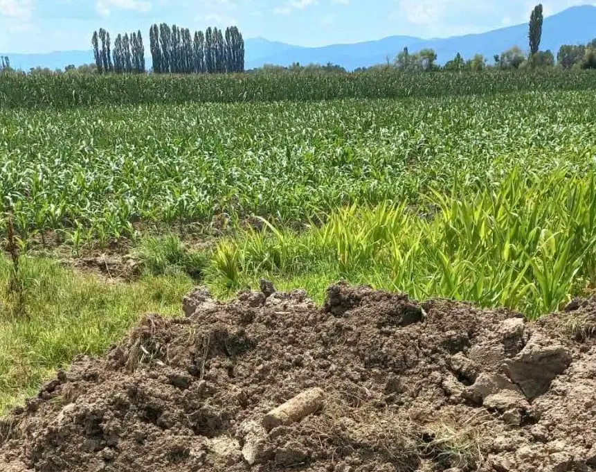 (ФОТО) ОПАСНО ОТКРИТИЕ КАЈ БИТОЛСКО СЕЛО: Пронајдена неексплодирана граната од Првата светска војна