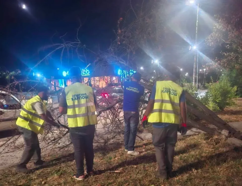 Нашол бомба додека ја барал чантата на жената врз која падна дрво во невремето во Карпош