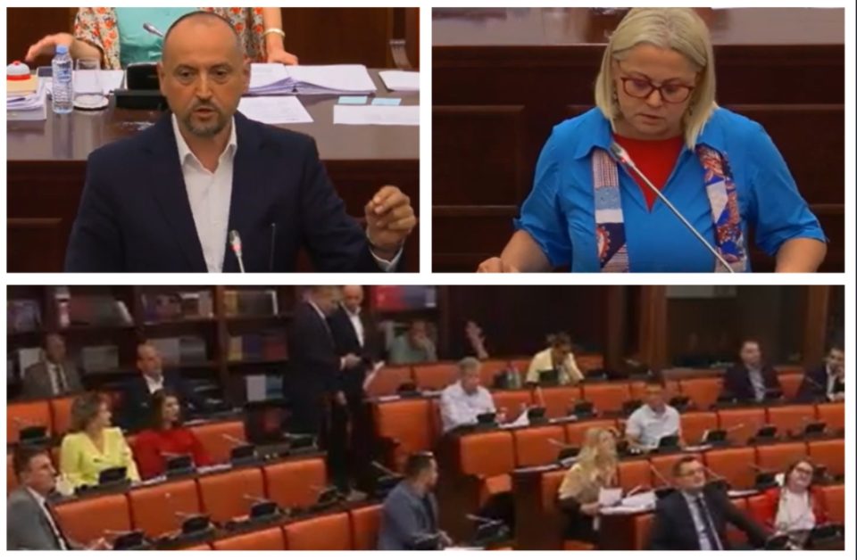 Битиќи со потценувачки навреди, Стојаноска му се спротивстави: Тензична расправа во Собрание (ВИДЕО)