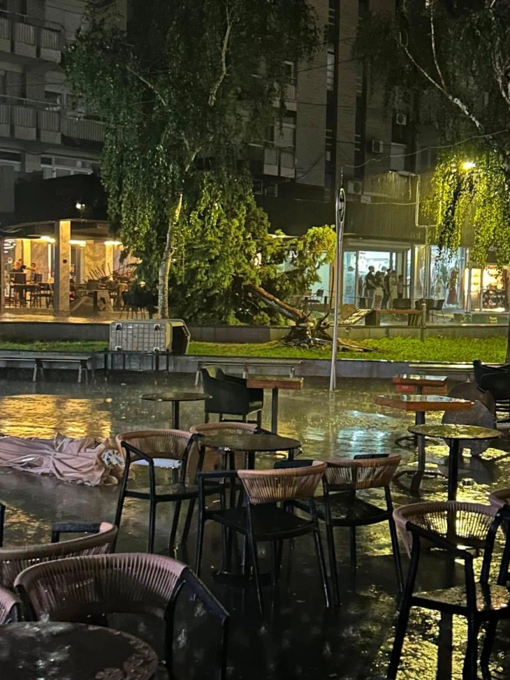 ПАДНАТИ ДРВЈА, БЛОКИРАНИ ПАТНИ ПРАВЦИ: Големо невреме синоќа во Кочани