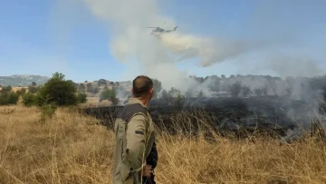 ПОЖАРОТ КАЈ ГРАДСКО СЕ ШИРИ КОН ПОДЛЕС: Огнената линија над 10 километри, осум пожари активни низ Македонија
