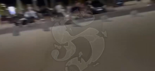 (ВИДЕО) ЖЕСТОКА ТЕПАЧКА НА НАВИВАЧИ НА АЕРОДРОМОТ ВО ЗАГРЕБ: Приврзаници на Динамо ги дочекале навивачите на Хајдук по враќањето од Литванија
