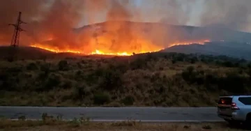 ГОЛЕМ ПОЖАР ВО АЛБАНИЈА, ЕВАКУИРАНИ СЕМЕЈСТВА: Топлотниот бран продолжува да го зафаќа југот и истокот на Европа