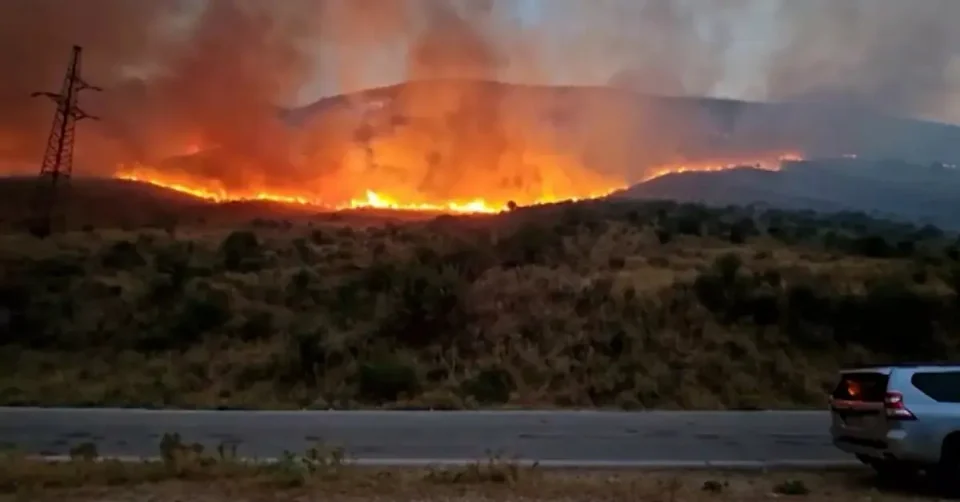 ГОЛЕМ ПОЖАР ВО АЛБАНИЈА, ЕВАКУИРАНИ СЕМЕЈСТВА: Топлотниот бран продолжува да го зафаќа југот и истокот на Европа