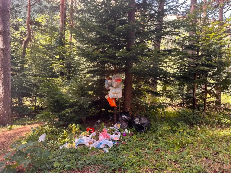 (ФОТО) НЕСОВЕСНИ ГРАЃАНИ ОСТАВААТ КУПИШТА ЃУБРЕ НА ШАР ПЛАНИНА: Вработените во Националниот парк со денови го собираат отпадот