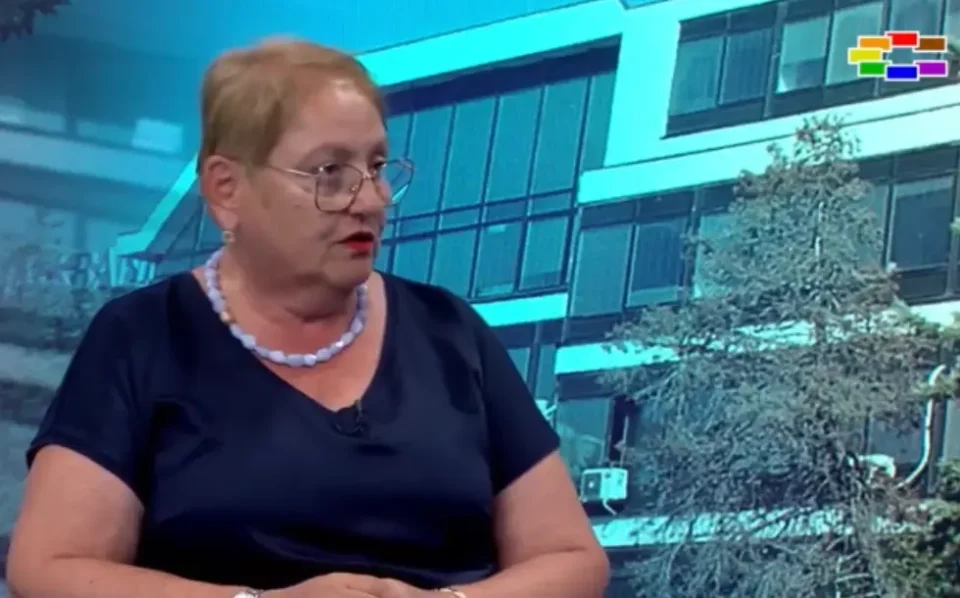 НАЈГОЛЕМ ДЕЛ ОД УЧЕБНИЦИТЕ ВЕЌЕ СЕ ДОСТАВЕНИ: Новиот модел ја префрла одговорноста кај издавачките куќи