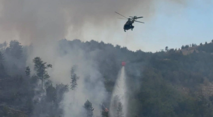 Голем пожар се шири кај туристичкиот град Валона во Албанија
