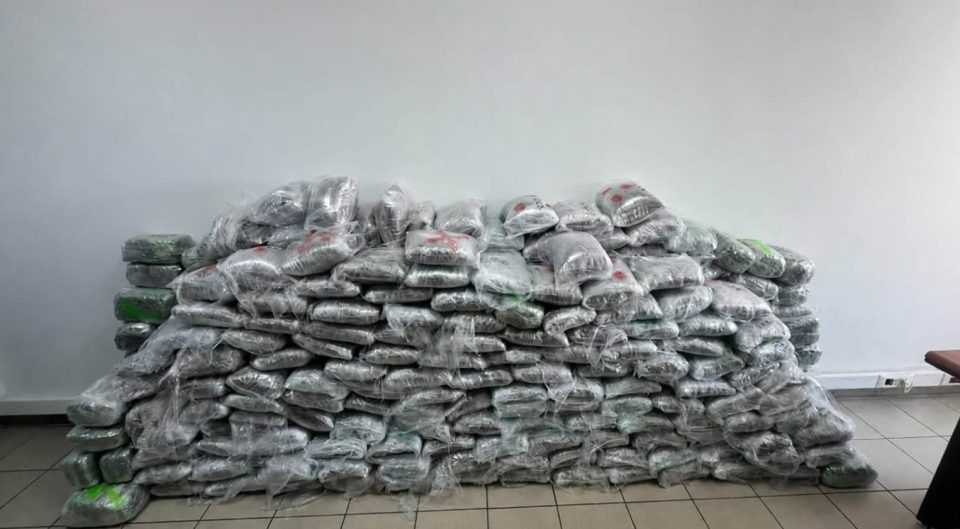 АКЦИЈА ВАРДАРИС: Притвор за македонски државјанин – осомничен е за транспорт на 324 килограми марихуана