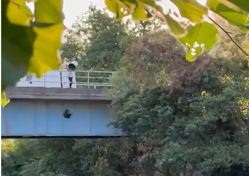 (ВИДЕО) МАЖ ЗАБЕЛЕЖАН КАКО ФРЛА ЃУБРЕ ВО РЕКА РАДИКА