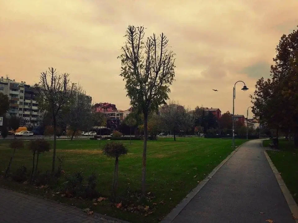 (ВИДЕО) МАЛОЛЕТНИЦИ ПУКАЛЕ ПЕТАРДИ, ПА СЕ ЗАПАЛИЛО ДРВО ВО КАПИШТЕЦ: Жителите бараат итна реакција од надлежните по пожарот во паркот