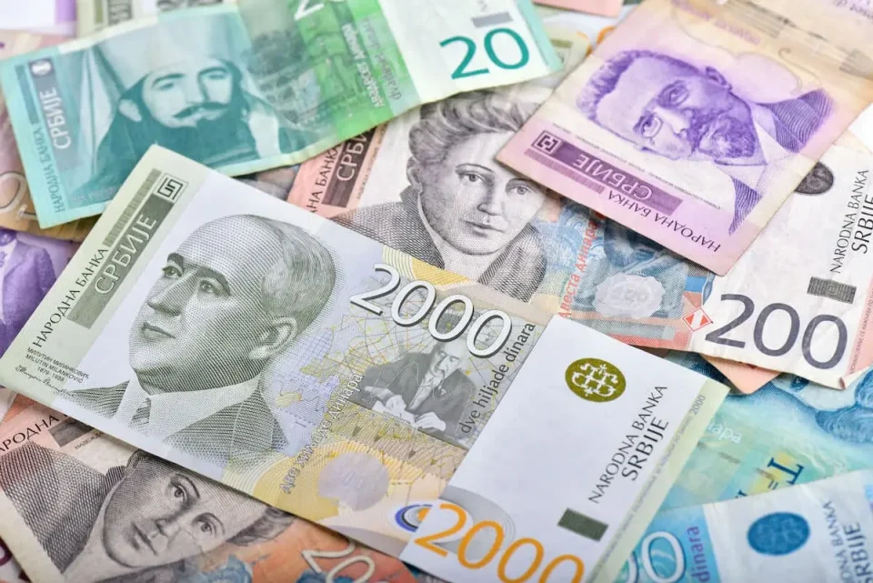 АПЛИЦИРАЛЕ РЕЧИСИ 1,7 МИЛИОНИ ЛУЃЕ: Србија доделува еднократна помош од 6.000 динари